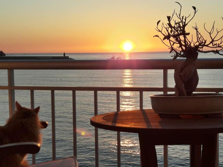 Appartamento La Casa Del Port Jávea Esterno foto