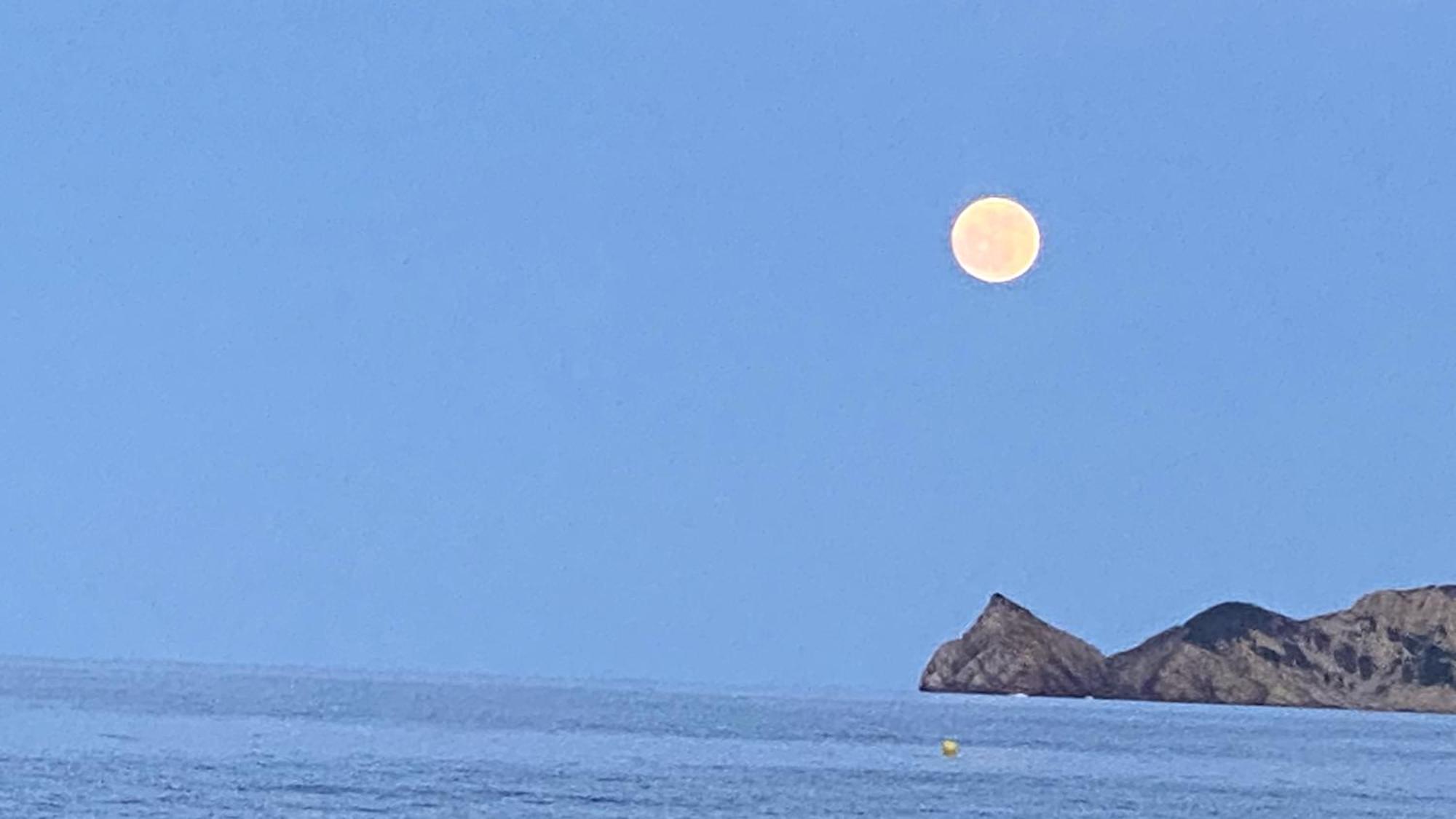 Appartamento La Casa Del Port Jávea Esterno foto